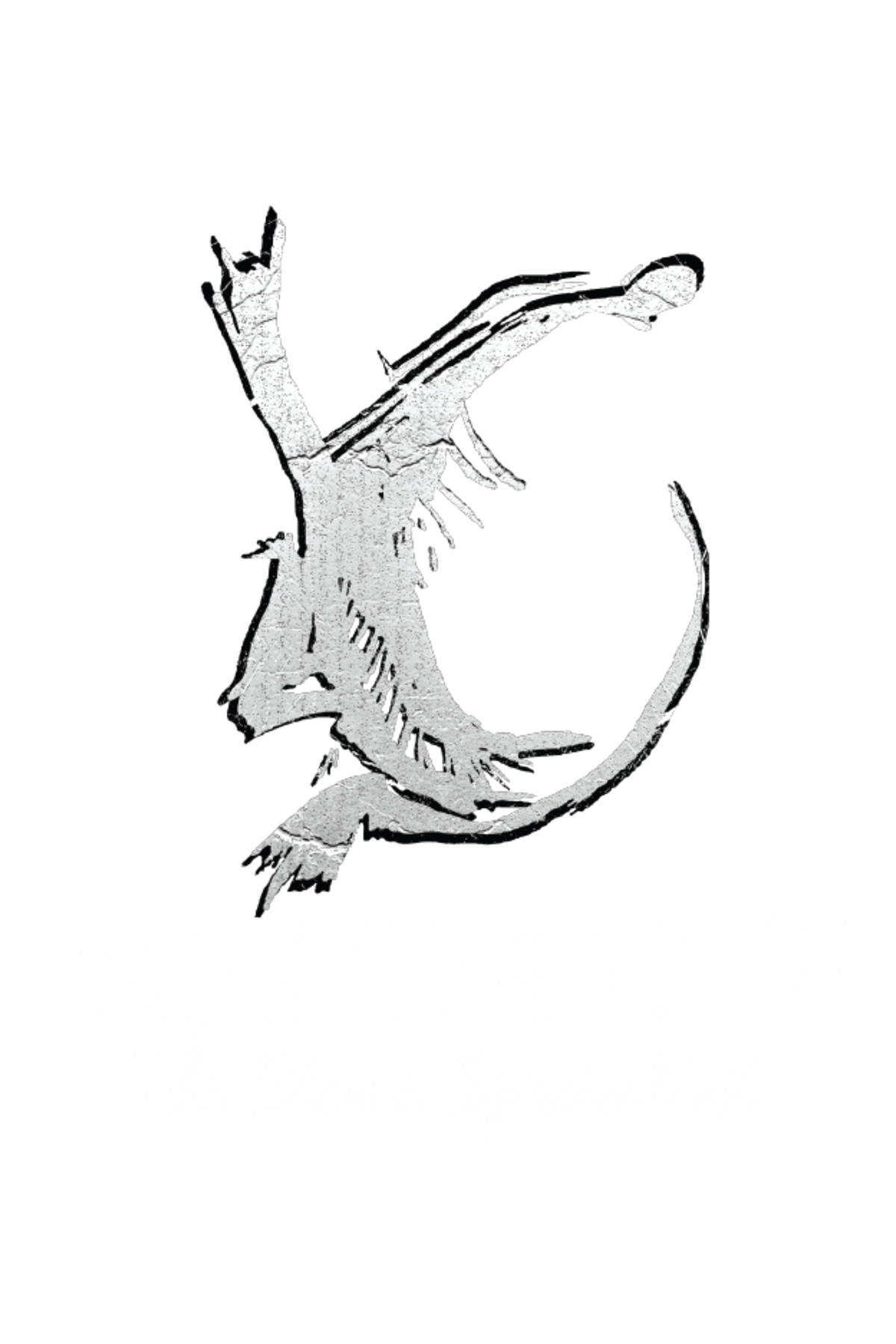 Brescia Stone logo